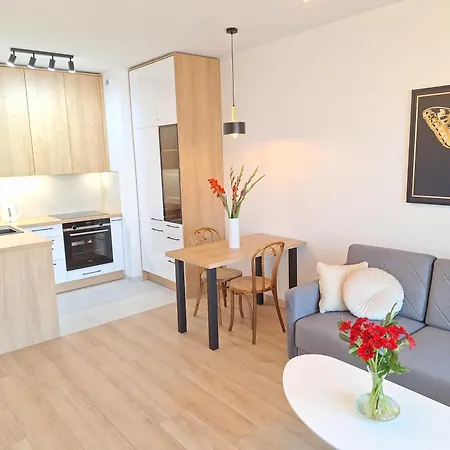 Lägenhet Loft 19 - W Cenie Prywatne Miejsce Postojowe Lub Garaz