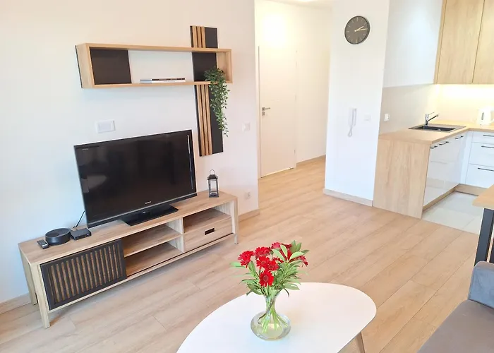 Loft 19 - W Cenie Prywatne Miejsce Postojowe Lub Garaz *